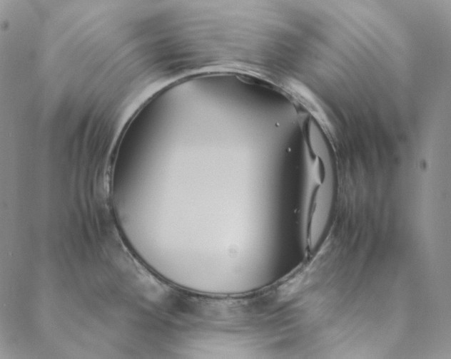 X0000088461292200706121455