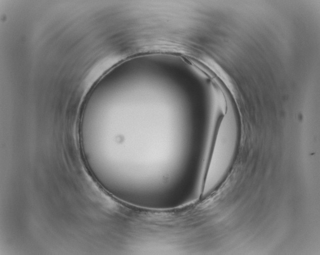 X0000088461293200706121455