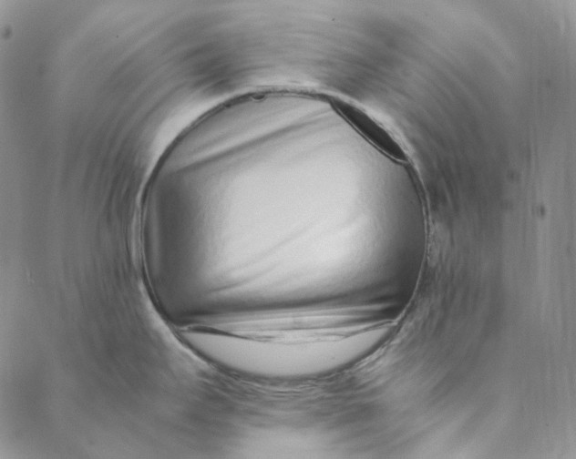 X0000088461295200706121455