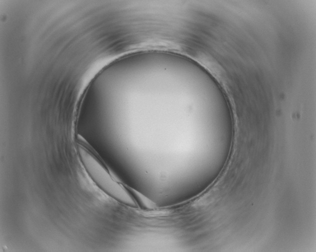 X0000088461296200706121455