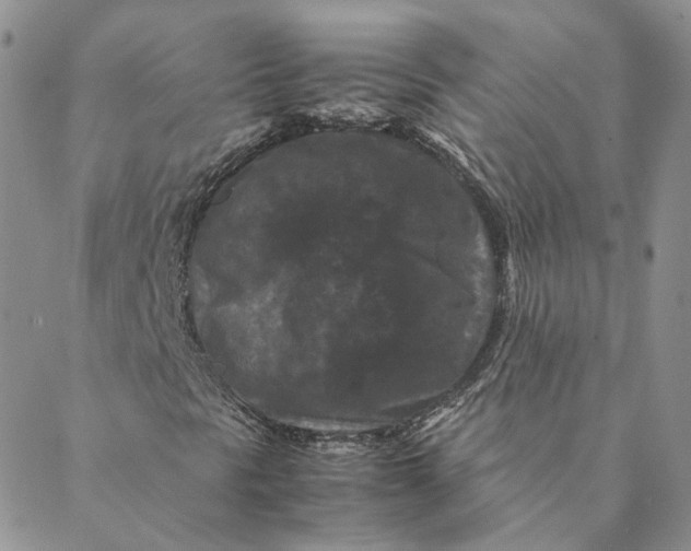 X0000088461297200706121454