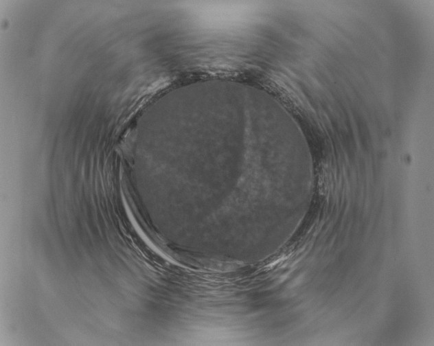 X0000088461298200706121454