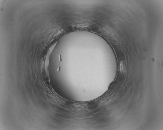 X0000088461299200706121454