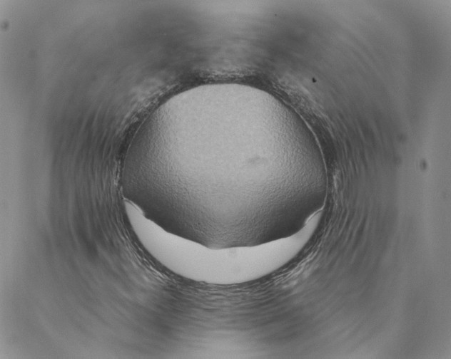 X0000088461300200706121454