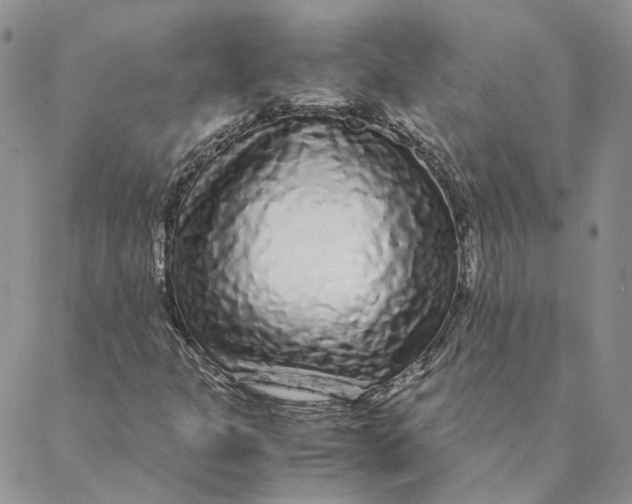 X0000088461301200706121454