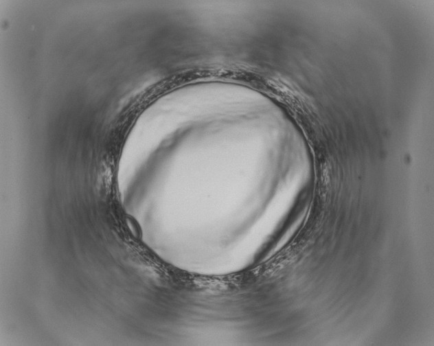 X0000088461302200706121454