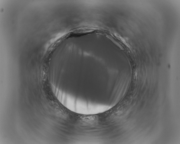 X0000088461303200706121454