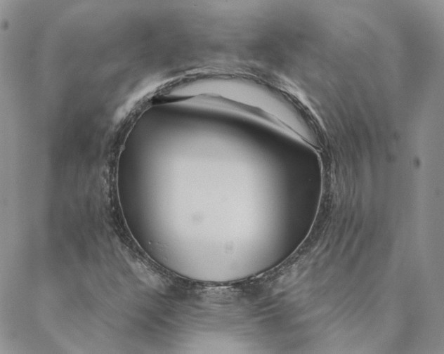 X0000088461304200706121454