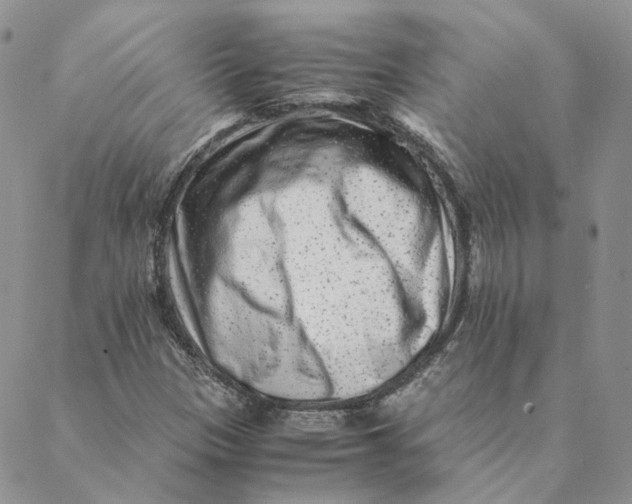 X0000088461305200706121454