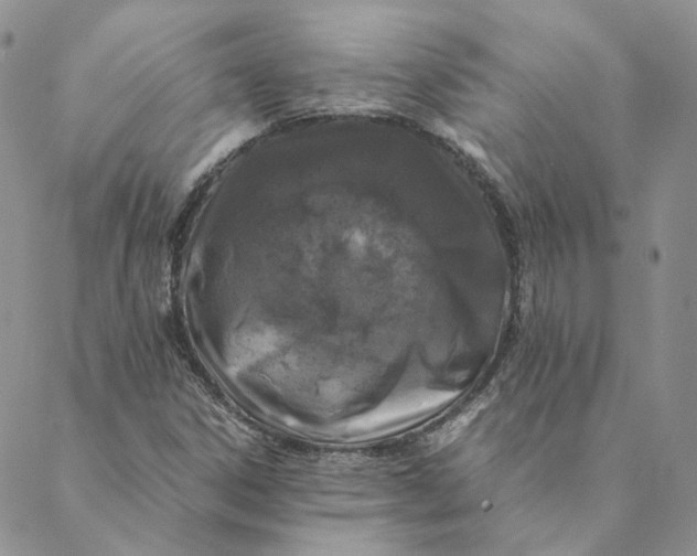 X0000088461306200706121454