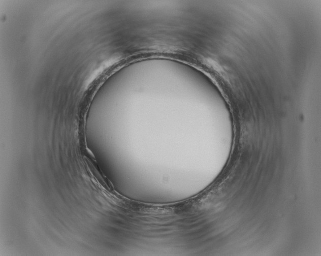 X0000088461307200706121454