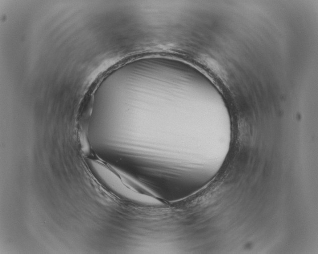 X0000088461308200706121454