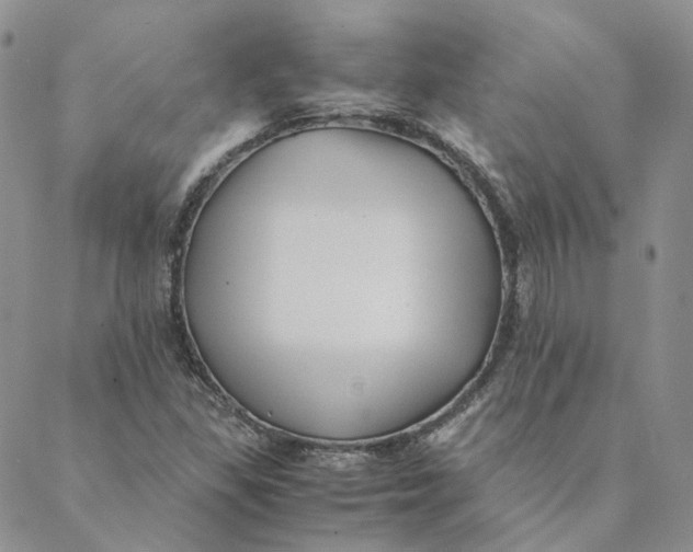 X0000088461309200706121454