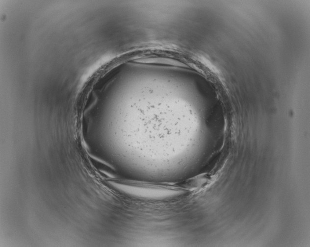 X0000088461310200706121454