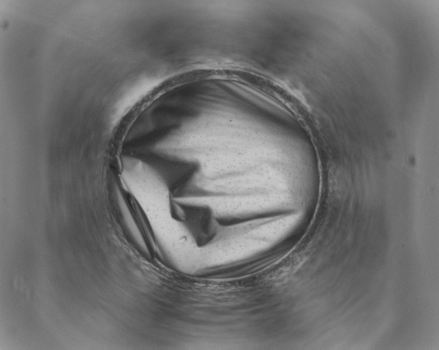 X0000088461311200706121454