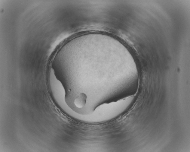 X0000088461312200706121454