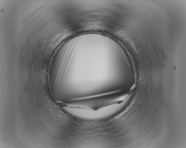 X0000088461313200706121454