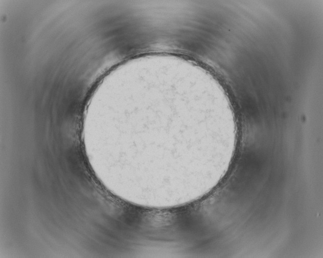 X0000088461314200706121454