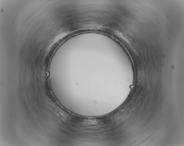 X0000088461315200706121454