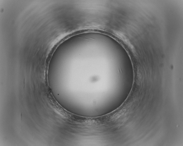 X0000088461316200706121454