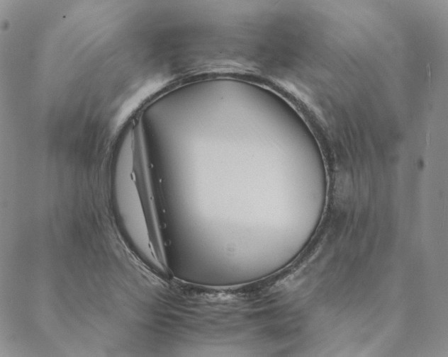 X0000088461317200706121454