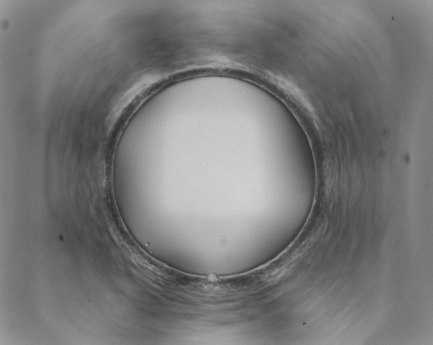 X0000088461318200706121454