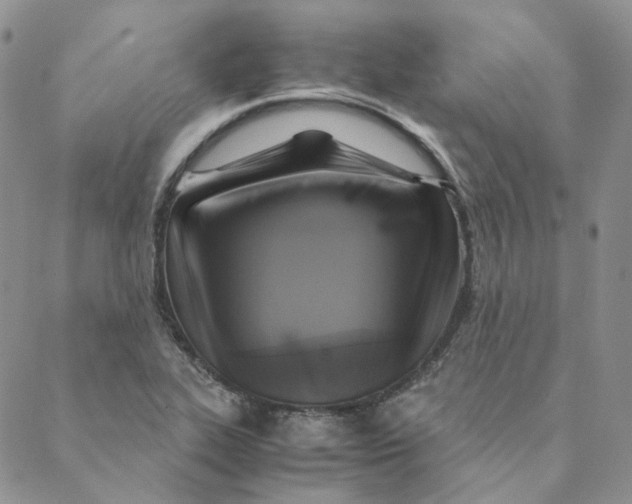 X0000088461319200706121454