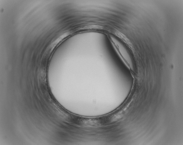 X0000088461321200706121454