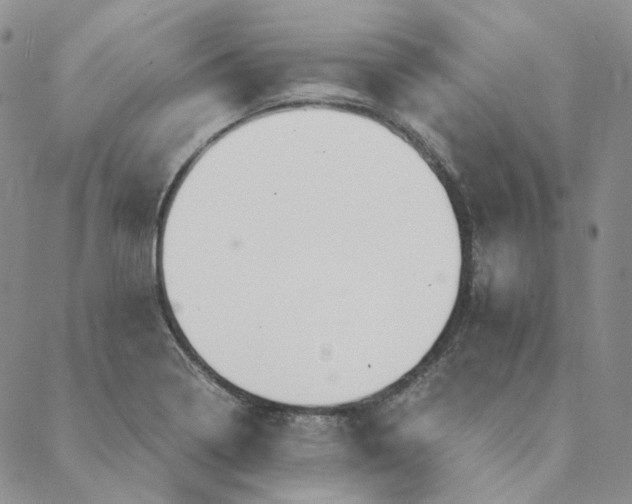 X0000088461322200706121454