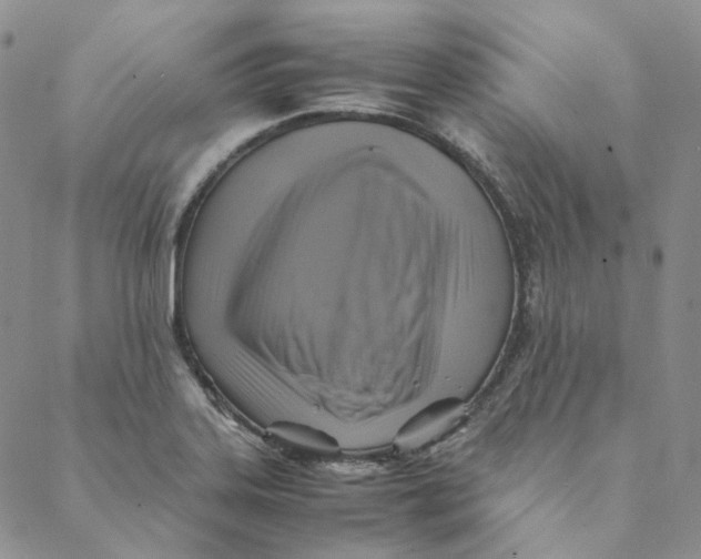 X0000088461323200706121454