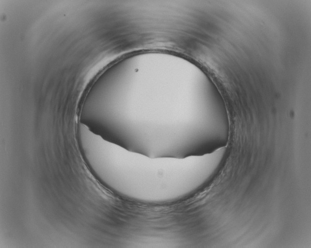 X0000088461324200706121454