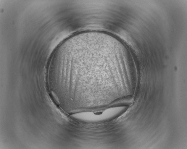 X0000088461325200706121454