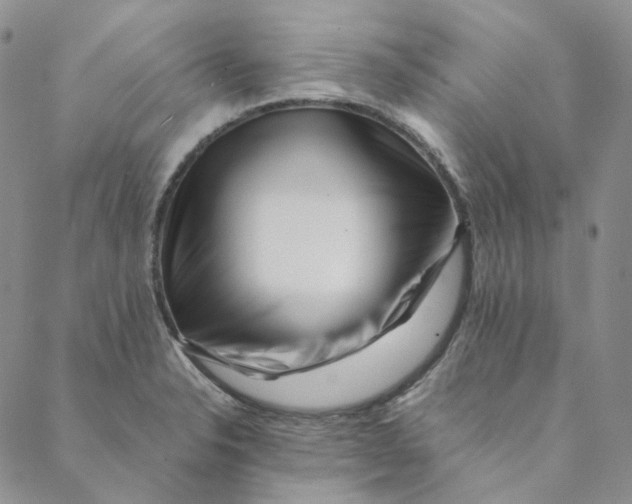 X0000088461326200706121454