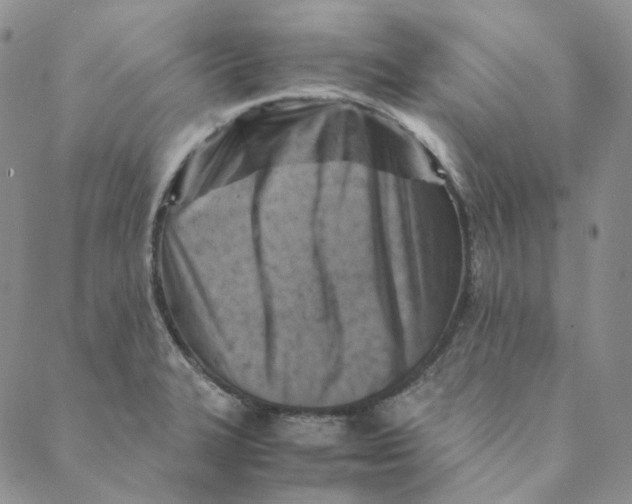 X0000088461327200706121454