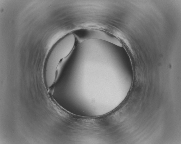 X0000088461328200706121454