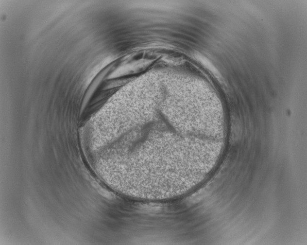 X0000088461329200706121454