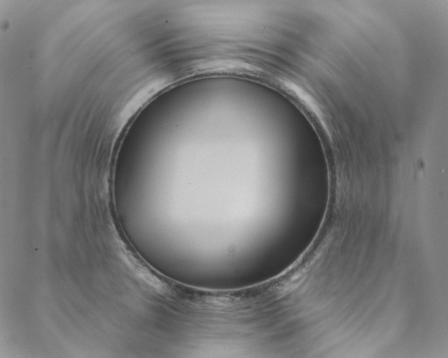 X0000088461330200706121454