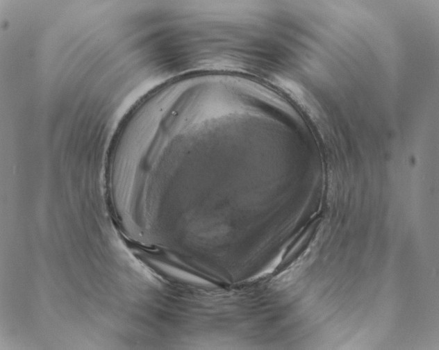 X0000088461331200706121455