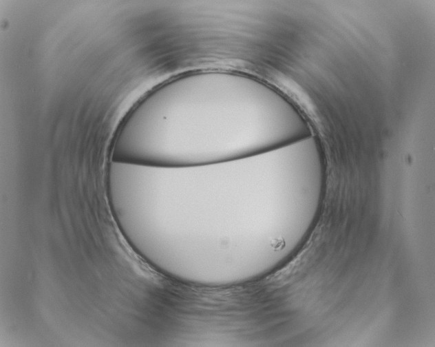 X0000088461332200706121455