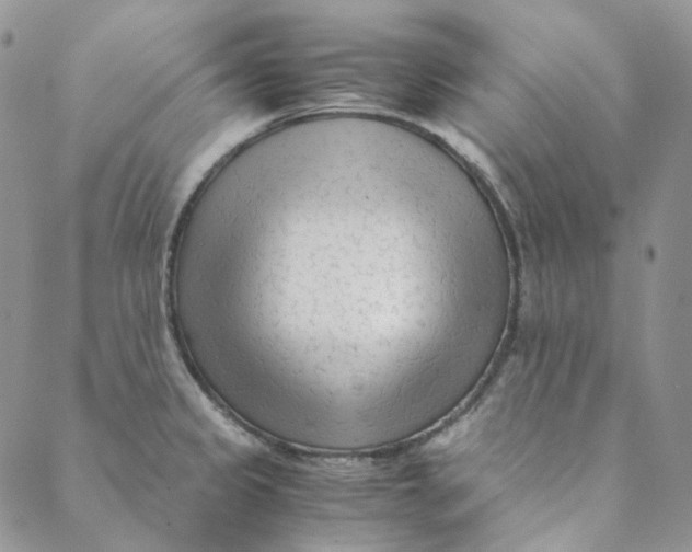 X0000088461333200706121455