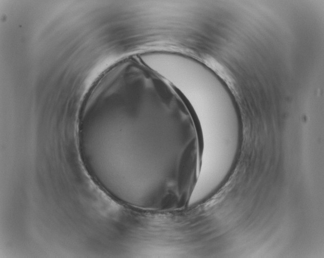 X0000088461334200706121455