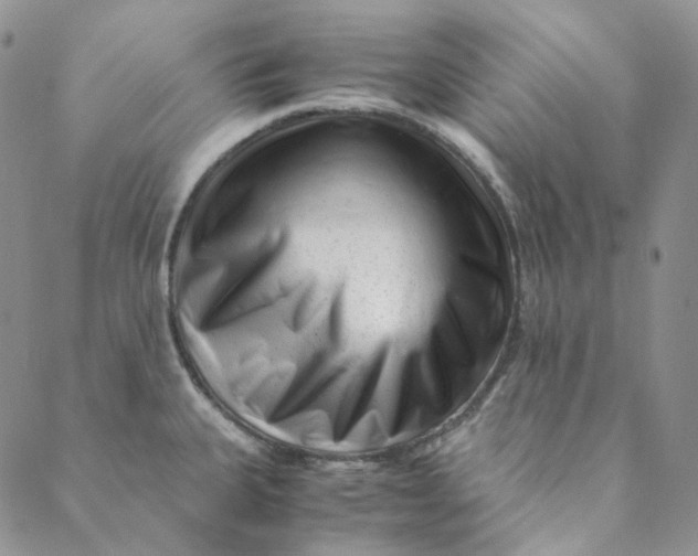 X0000088461335200706121455