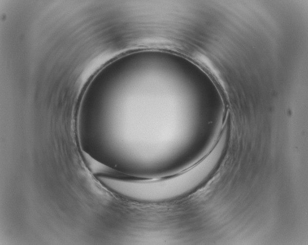 X0000088461336200706121455