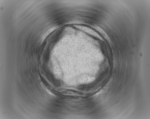 X0000088461337200706121455