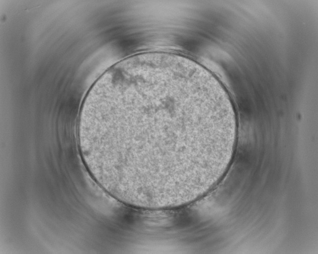 X0000088461338200706121455