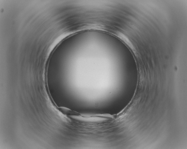 X0000088461339200706121455