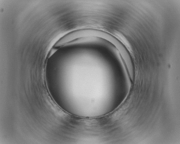 X0000088461340200706121455