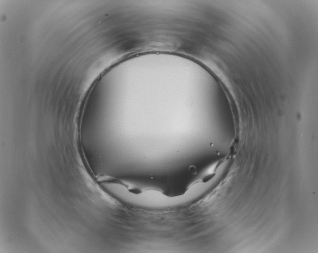 X0000088461341200706121455