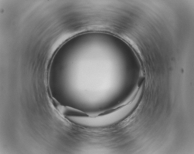 X0000088461342200706121455