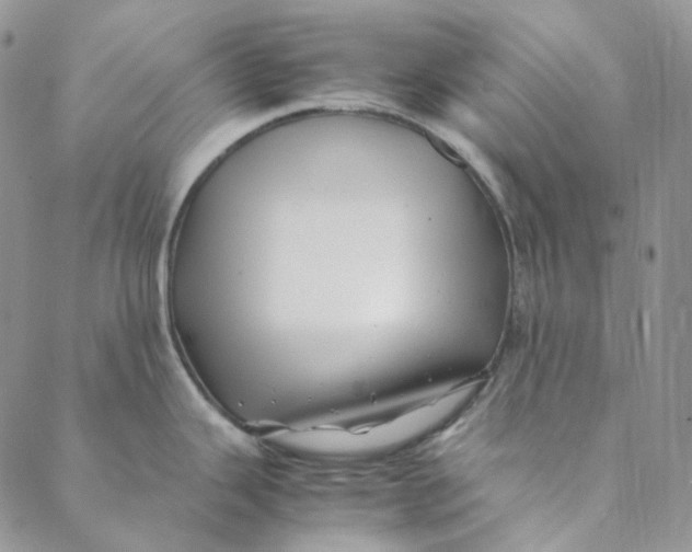 X0000088461343200706121455